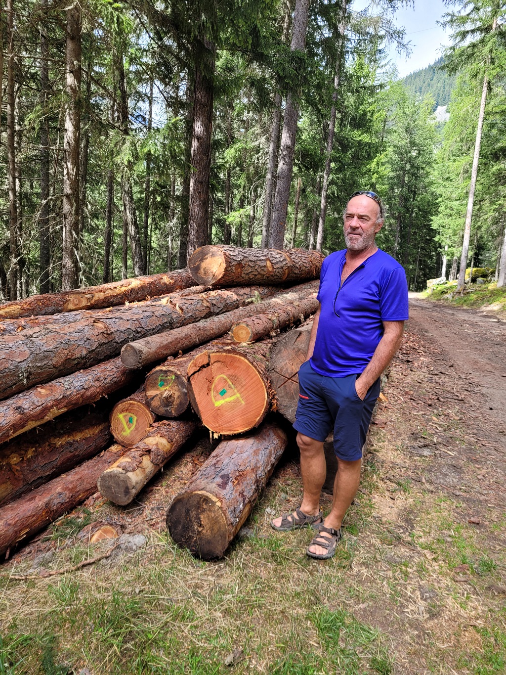 Coupe de bois en forêt d'Orthaz : le chantier est désormais achevé ! -  Chamonix